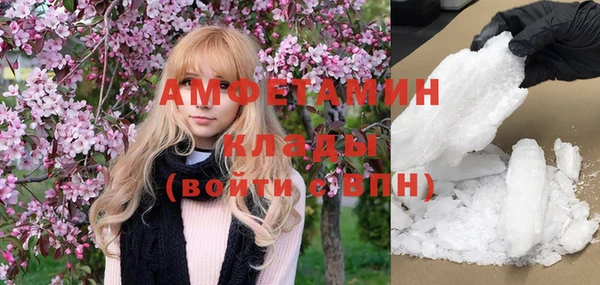 шишки Аркадак