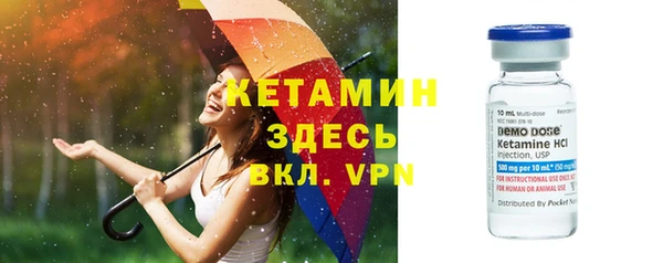 шишки Аркадак