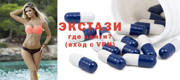 шишки Аркадак