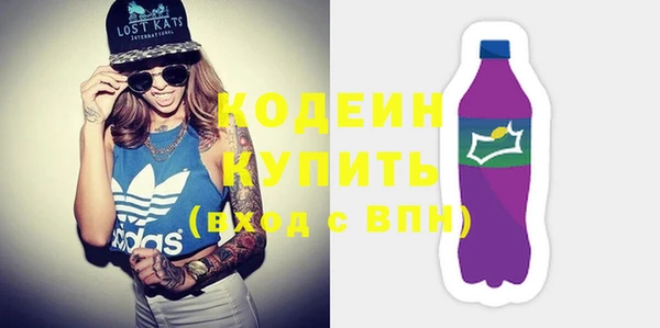шишки Аркадак