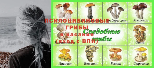 шишки Аркадак