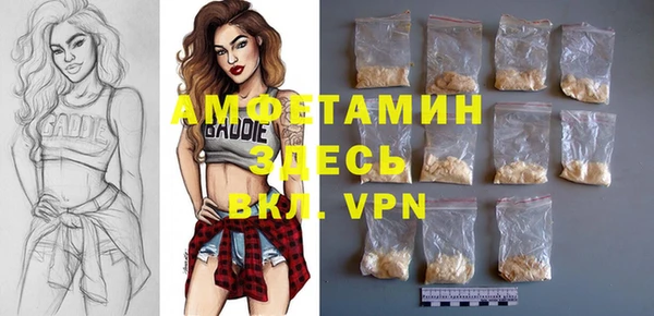 шишки Аркадак